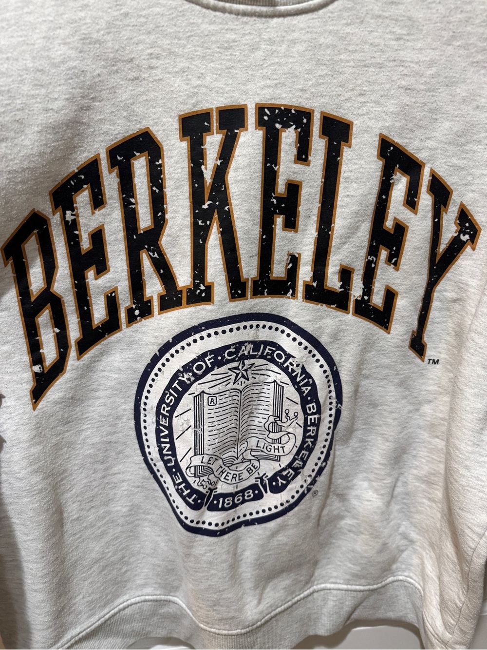 Berkeley Graphic Crewneck Sweatshirt - Light Gray| Unisex Medium - Picture 2 of 3